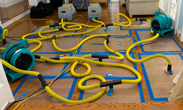 Professional Emergency Water Removal technician working in Line Lexington, PA